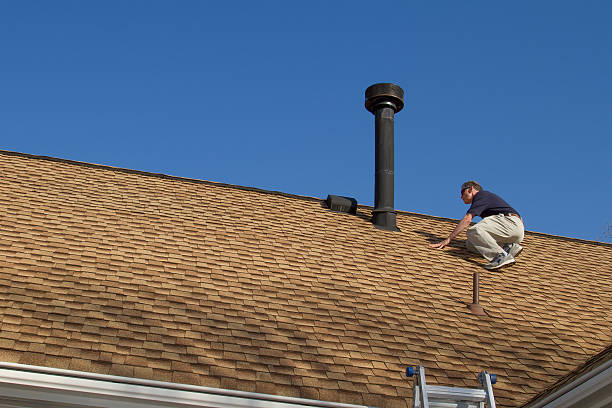 Best Roof Moss and Algae Removal  in Statesville, NC